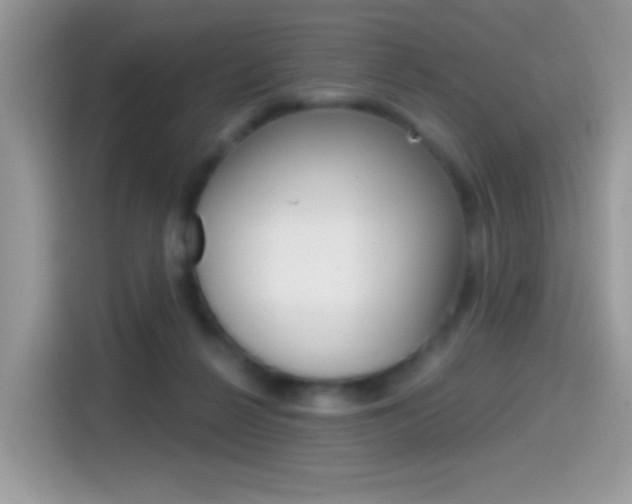 X0000114440264200910161058