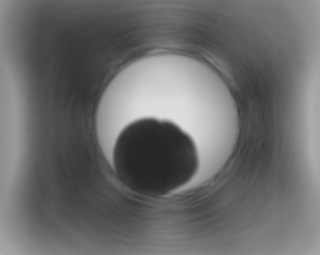 X0000114440265200910161058