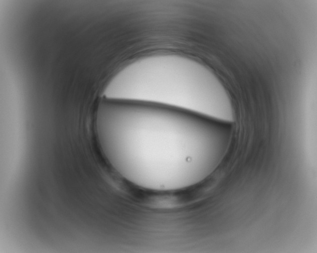 X0000114440266200910161058