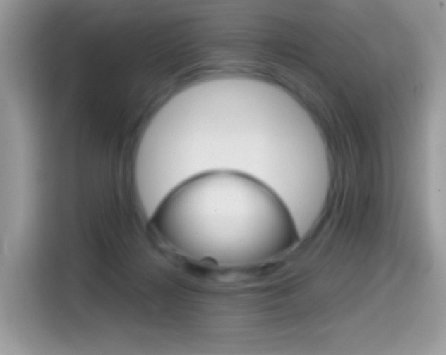 X0000114440268200910161058