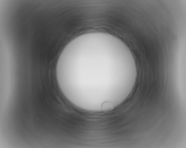 X0000114440272200910161058