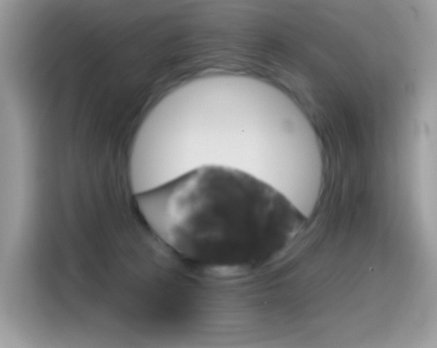 X0000114440273200910161058