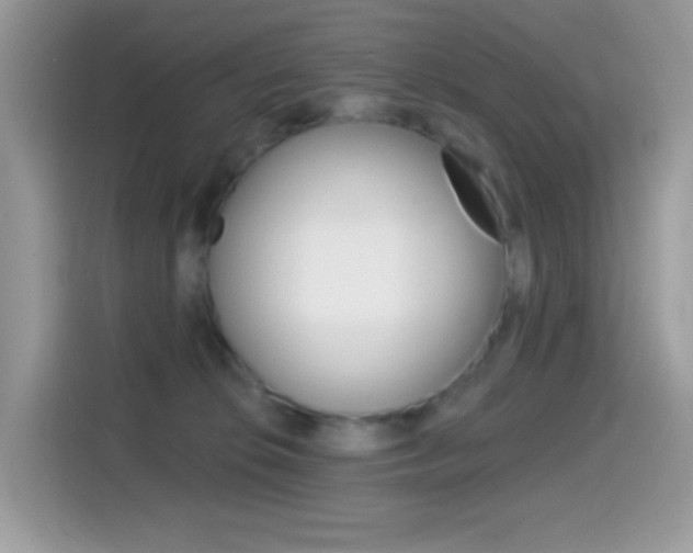 X0000114440276200910161058