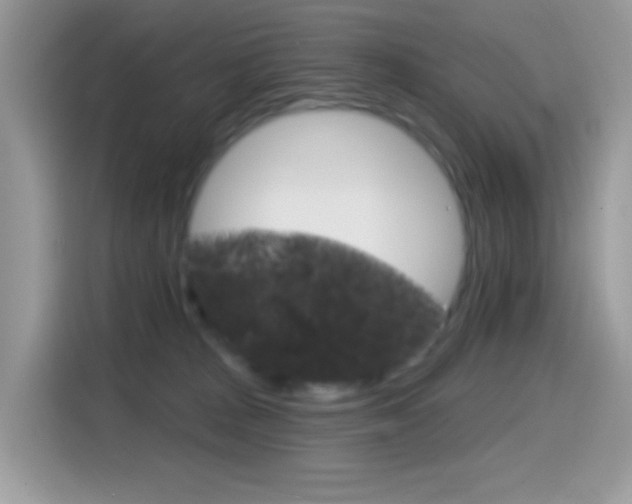 X0000114440277200910161058