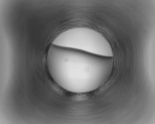 X0000114440278200910161058
