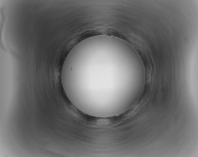 X0000114440279200910161058