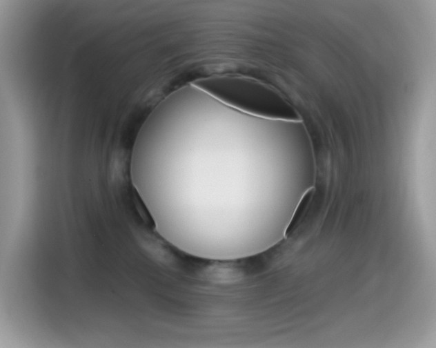 X0000114440280200910161058