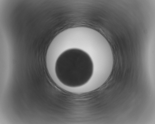 X0000114440281200910161058