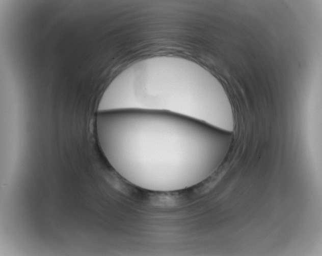 X0000114440282200910161058