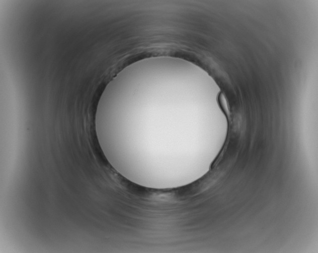 X0000114440283200910161058
