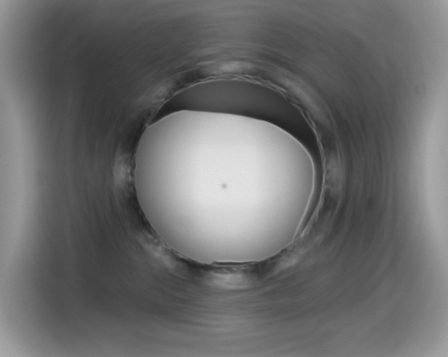 X0000114440284200910161058