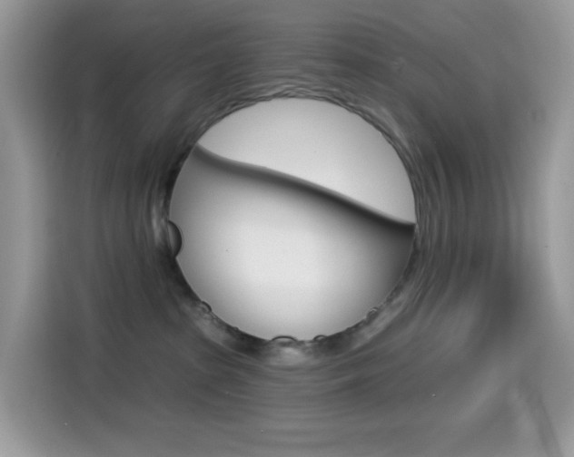 X0000114440285200910161058