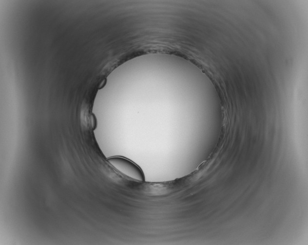 X0000114440287200910161058