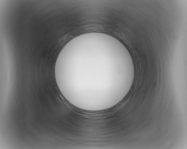 X0000114440288200910161058