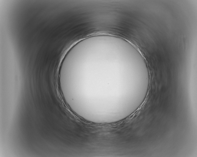 X0000114440289200910161057