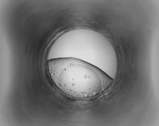 X0000114440291200910161057