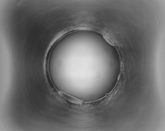 X0000114440292200910161057