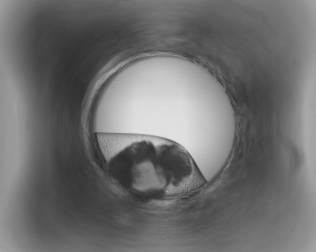 X0000114440295200910161057