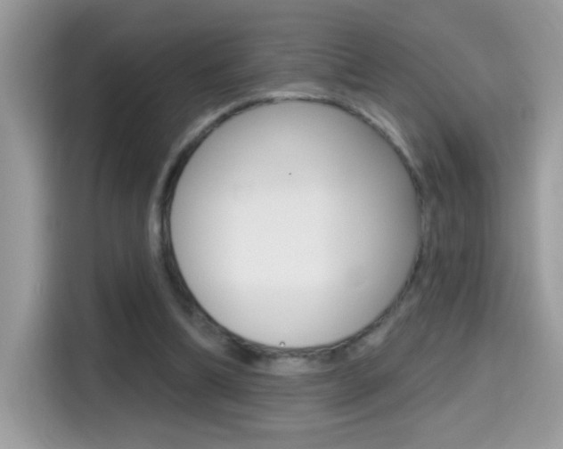 X0000114440298200910161057