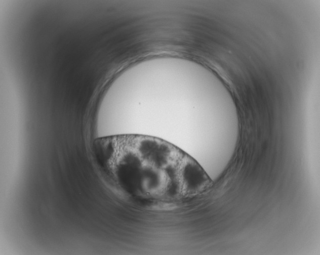 X0000114440299200910161057