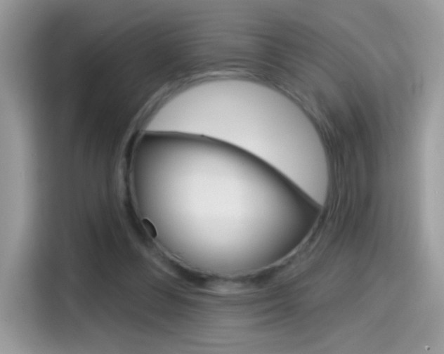X0000114440300200910161057