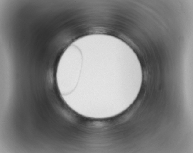 X0000114440302200910161057