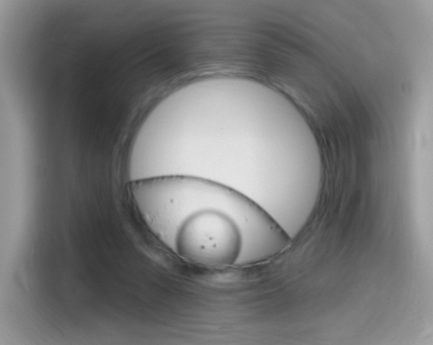 X0000114440303200910161057