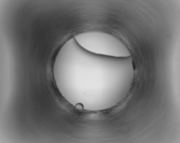 X0000114440306200910161057