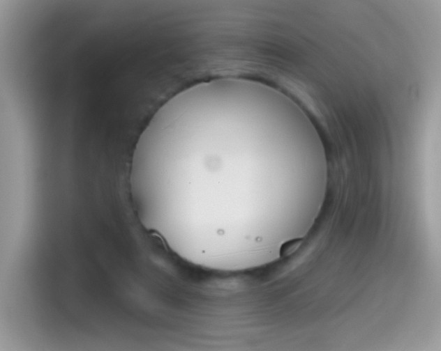 X0000114440307200910161057