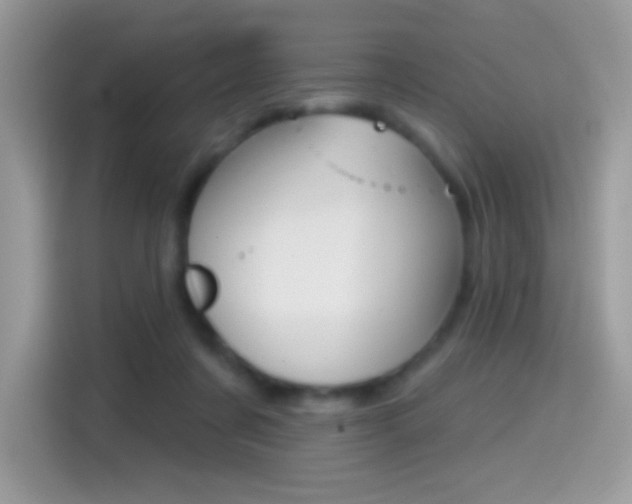 X0000114440311200910161057