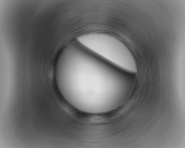 X0000114440315200910161057