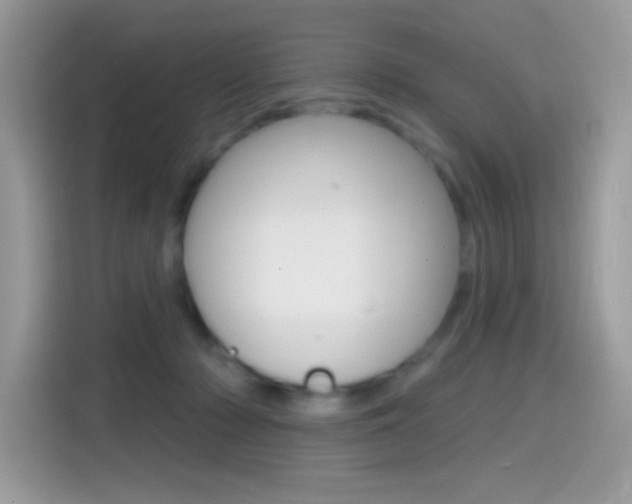 X0000114440318200910161057