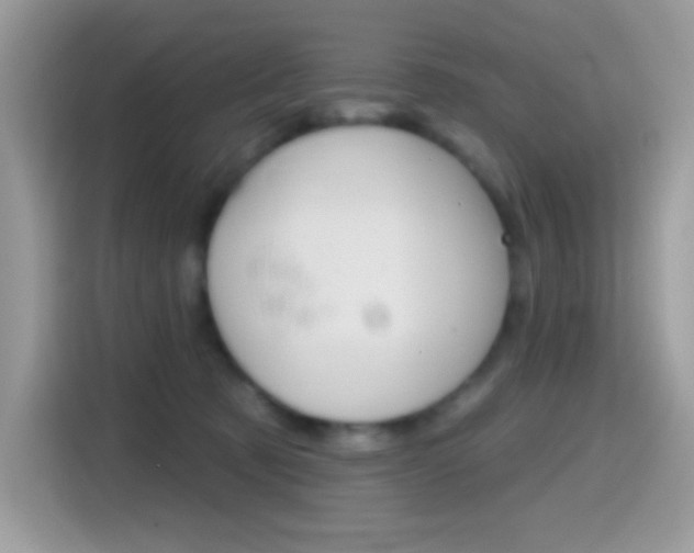 X0000114440321200910161057