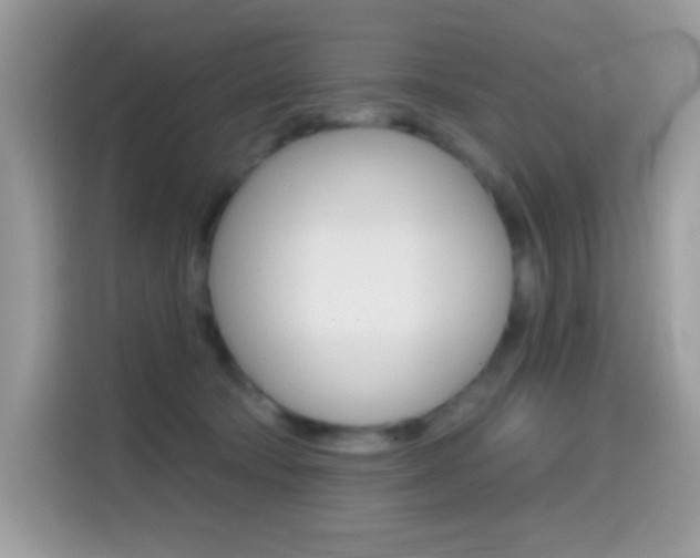 X0000114440322200910161057