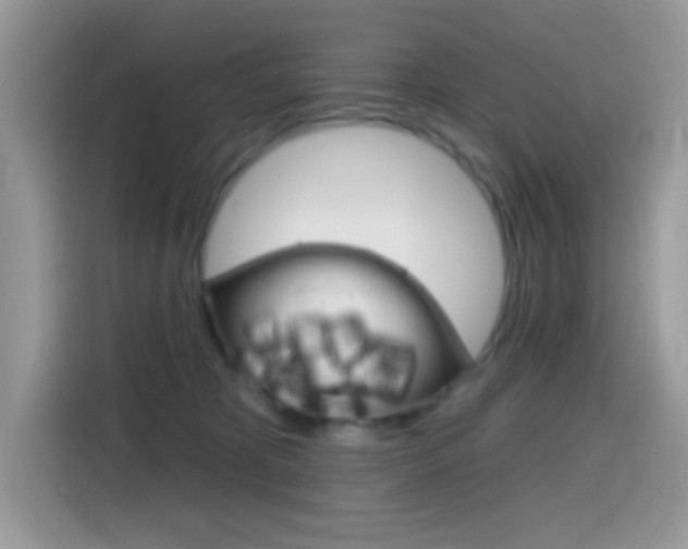 X0000114440325200910161057