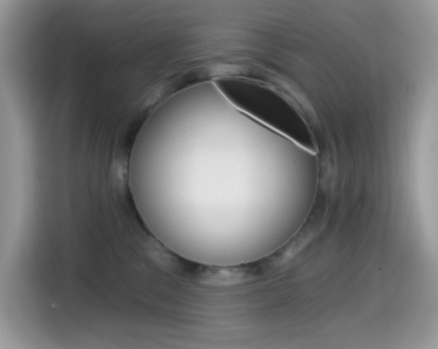 X0000114440329200910161057