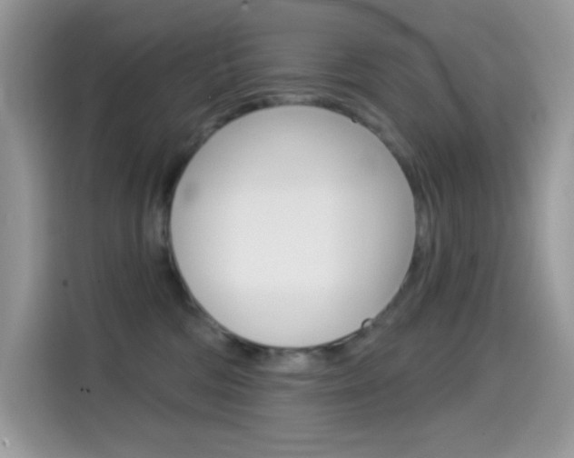 X0000114440330200910161057