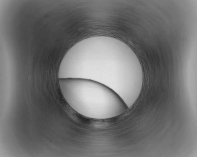 X0000114440331200910161057