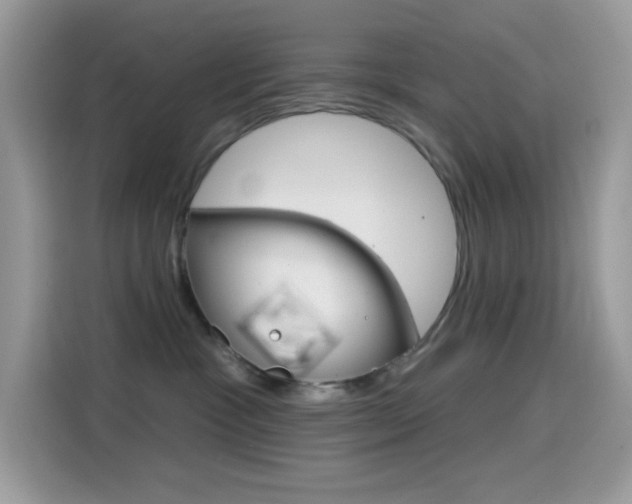 X0000114440333200910161057