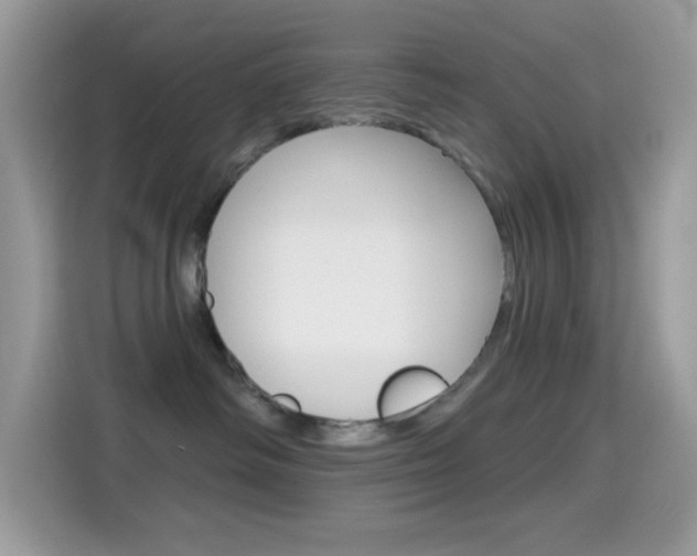 X0000114440334200910161057