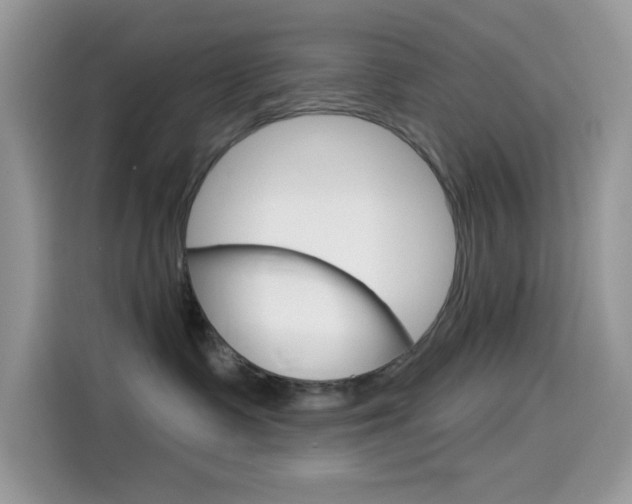 X0000114440335200910161057