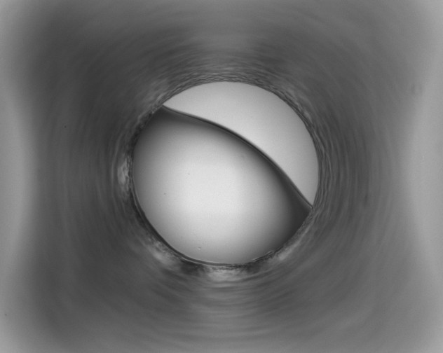 X0000114440336200910161057