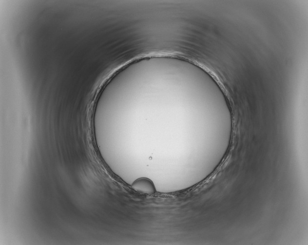 X0000114440337200910161056