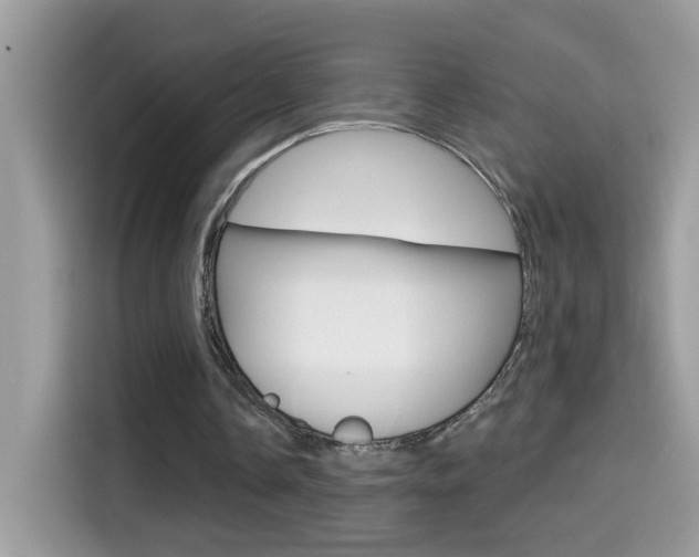 X0000114440338200910161056