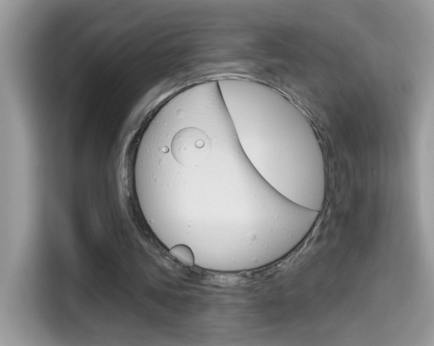 X0000114440339200910161056