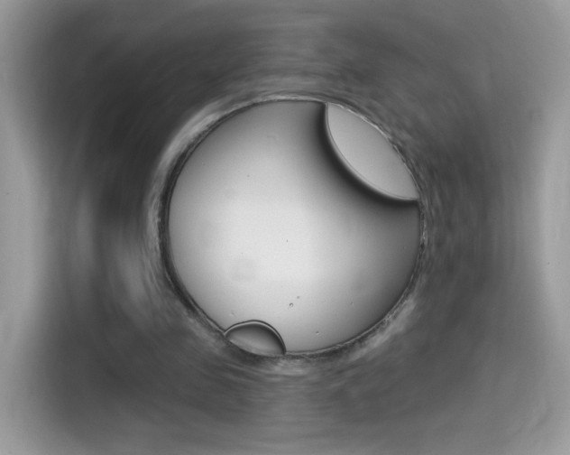 X0000114440341200910161056