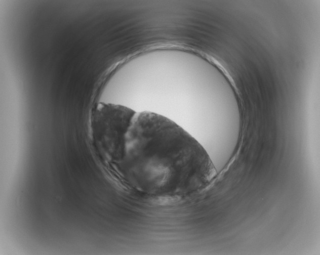X0000114440345200910161056