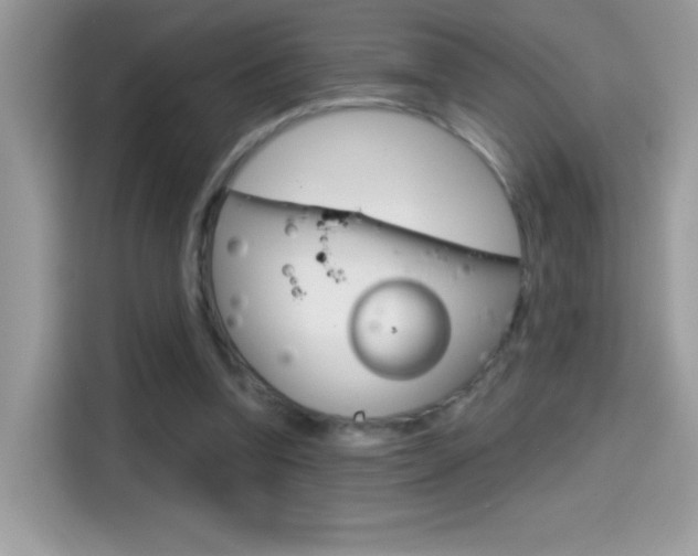 X0000114440346200910161056