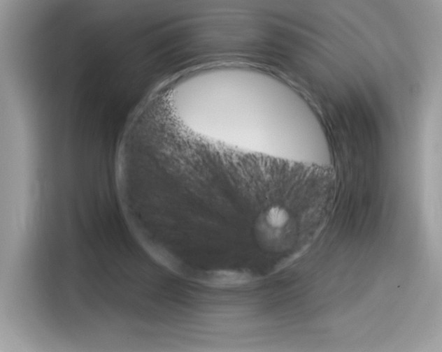 X0000114440347200910161056
