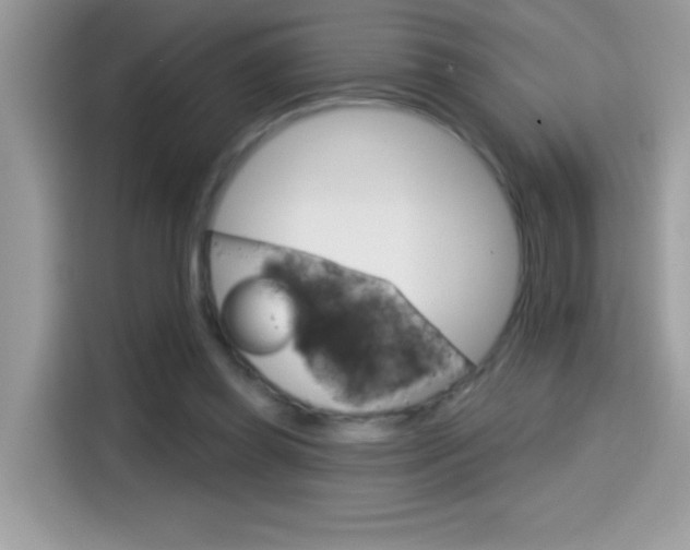 X0000114440349200910161056